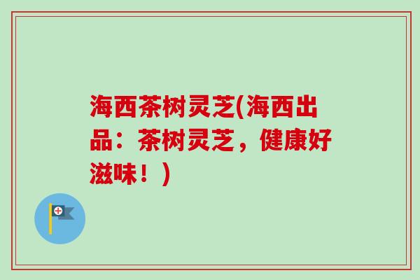 海西茶树灵芝(海西出品:茶树灵芝,健康好滋味!) 海西茶树灵芝(海西出品:茶树灵芝,健康好滋味!)
