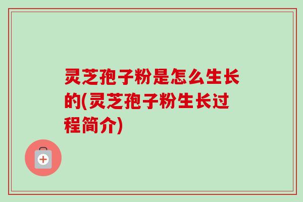 灵芝孢子粉是怎么生长的(灵芝孢子粉生长过程简介)
