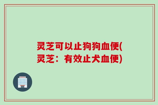灵芝可以止狗狗血便(灵芝：有效止犬血便)