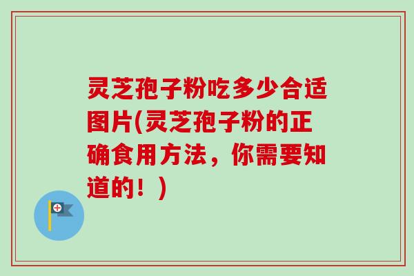 灵芝孢子粉吃多少合适图片(灵芝孢子粉的正确食用方法，你需要知道的！)