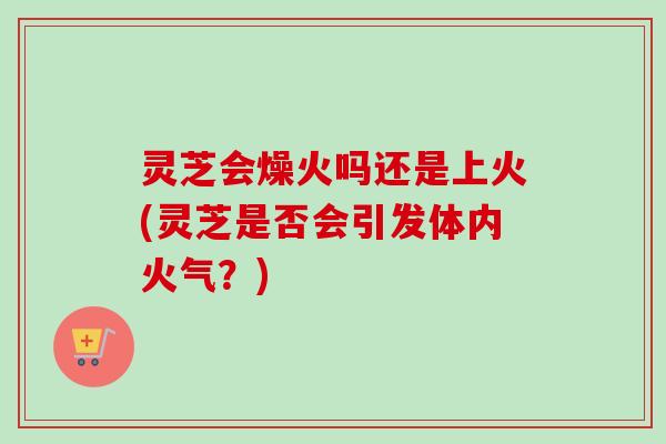 灵芝会燥火吗还是上火(灵芝是否会引发体内火气？)