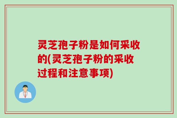 灵芝孢子粉是如何采收的(灵芝孢子粉的采收过程和注意事项)