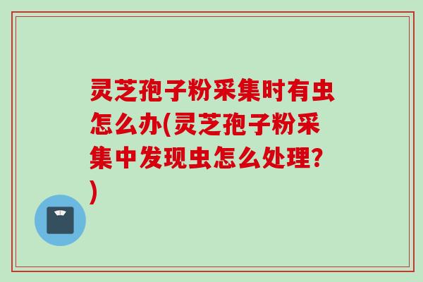 灵芝孢子粉采集时有虫怎么办(灵芝孢子粉采集中发现虫怎么处理？)