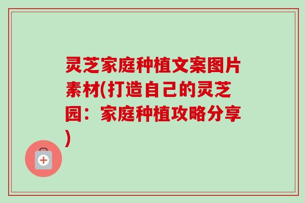 灵芝家庭种植文案图片素材(打造自己的灵芝园：家庭种植攻略分享)