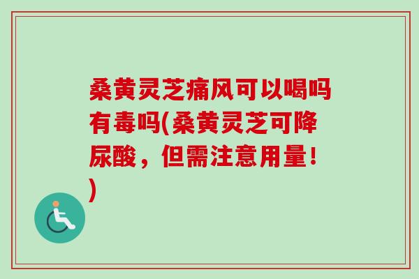 桑黄灵芝痛风可以喝吗有毒吗(桑黄灵芝可降尿酸,但需注意用量!) 桑黄灵芝痛风可以喝吗有毒吗(桑黄灵芝可降尿酸,但需注意用量!)