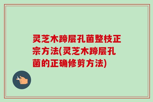 灵芝木蹄层孔菌整枝正宗方法(灵芝木蹄层孔菌的正确修剪方法)