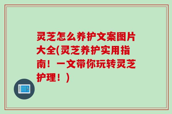 灵芝怎么养护文案图片大全(灵芝养护实用指南！一文带你玩转灵芝护理！)