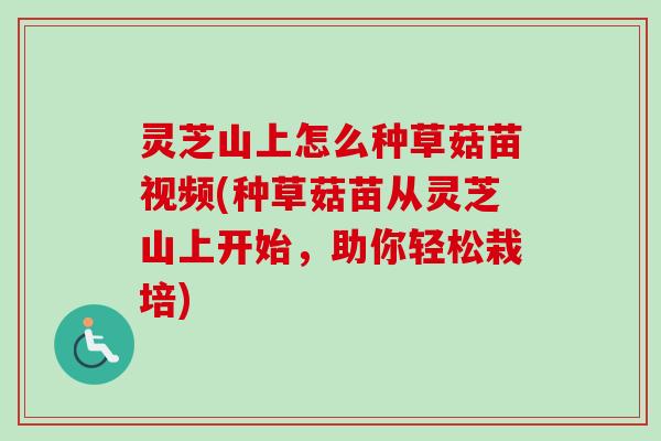 灵芝山上怎么种草菇苗视频(种草菇苗从灵芝山上开始,助你轻松栽培) 灵芝山上怎么种草菇苗视频(种草菇苗从灵芝山上开始,助你轻松栽培)
