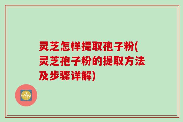 灵芝怎样提取孢子粉(灵芝孢子粉的提取方法及步骤详解)