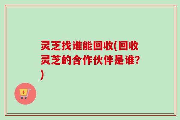 灵芝找谁能回收(回收灵芝的合作伙伴是谁?) 灵芝找谁能回收(回收灵芝的合作伙伴是谁?)