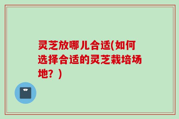 灵芝放哪儿合适(如何选择合适的灵芝栽培场地？)