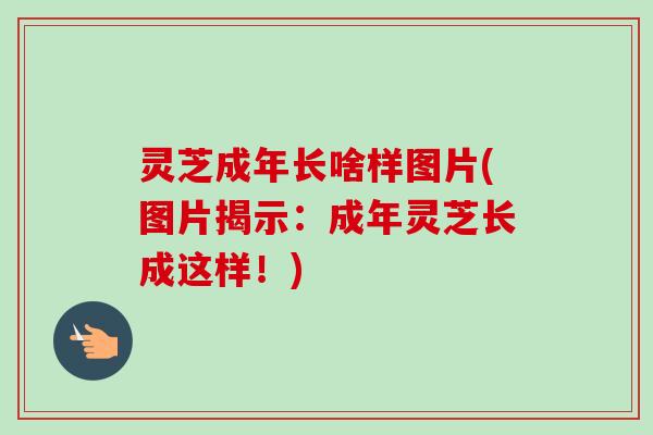 灵芝成年长啥样图片(图片揭示：成年灵芝长成这样！)