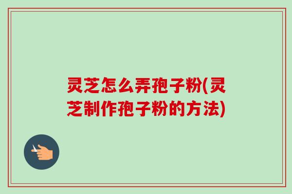 灵芝怎么弄孢子粉(灵芝制作孢子粉的方法)