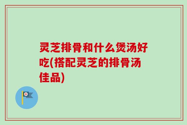 灵芝排骨和什么煲汤好吃(搭配灵芝的排骨汤佳品)