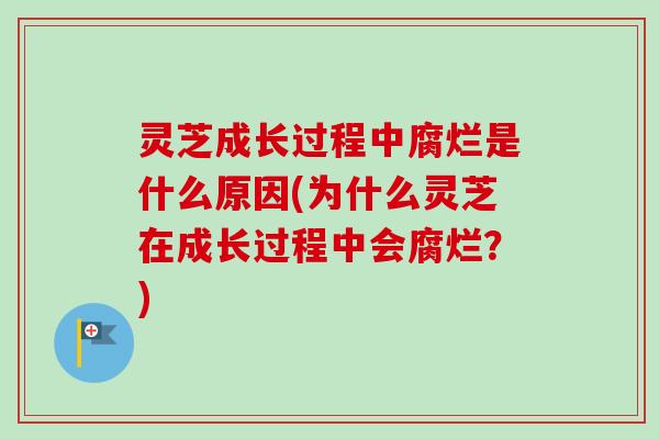 灵芝成长过程中腐烂是什么原因(为什么灵芝在成长过程中会腐烂？)