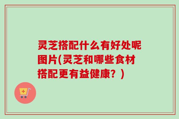 灵芝搭配什么有好处呢图片(灵芝和哪些食材搭配更有益健康？)