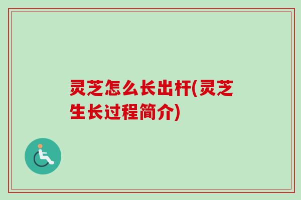 灵芝怎么长出杆(灵芝生长过程简介)