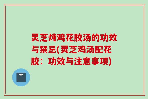 灵芝炖鸡花胶汤的功效与禁忌(灵芝鸡汤配花胶：功效与注意事项)