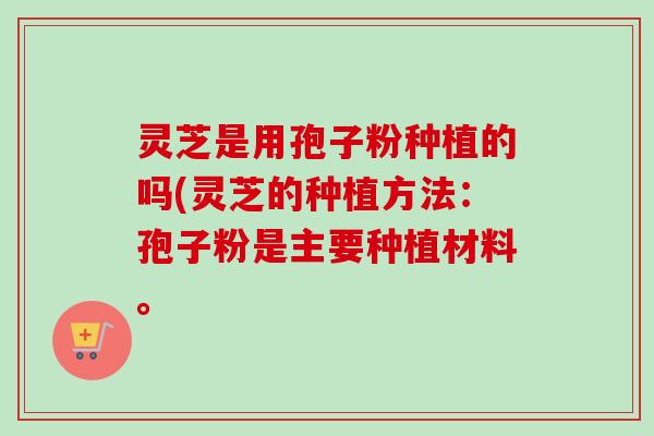 灵芝是用孢子粉种植的吗(灵芝的种植方法:孢子粉是主要种植材料。 灵芝是用孢子粉种植的吗(灵芝的种植方法:孢子粉是主要种植材料。