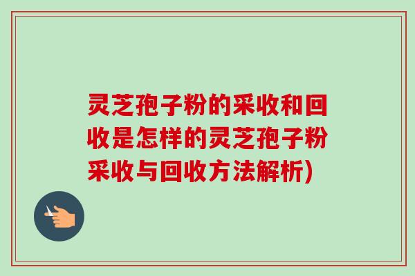 灵芝孢子粉的采收和回收是怎样的灵芝孢子粉采收与回收方法解析)