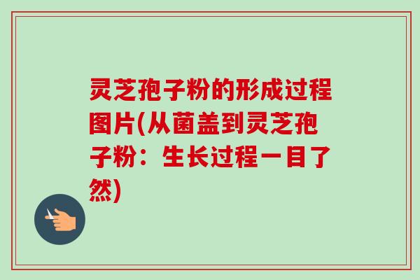 灵芝孢子粉的形成过程图片(从菌盖到灵芝孢子粉：生长过程一目了然)