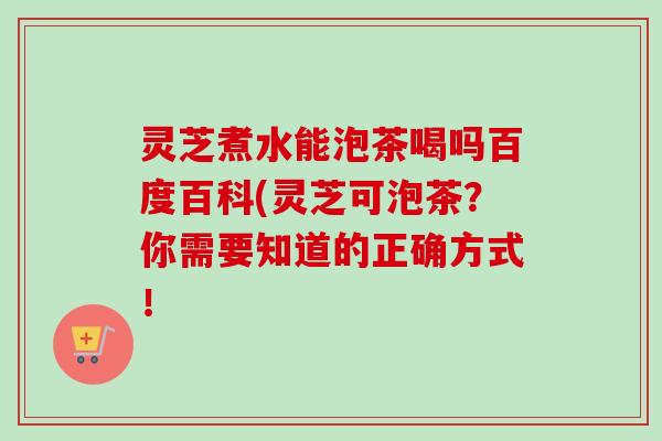 灵芝煮水能泡茶喝吗百度百科(灵芝可泡茶？你需要知道的正确方式！