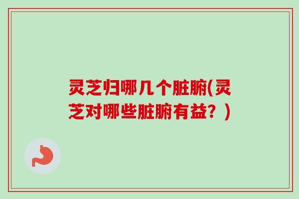 灵芝归哪几个脏腑(灵芝对哪些脏腑有益?) 灵芝归哪几个脏腑(灵芝对哪些脏腑有益?)