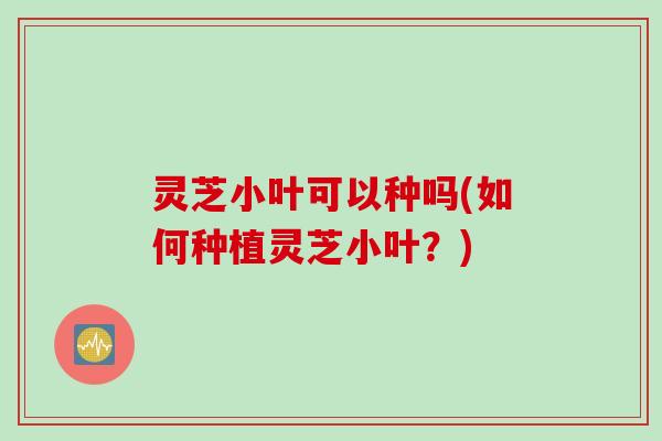 灵芝小叶可以种吗(如何种植灵芝小叶？)