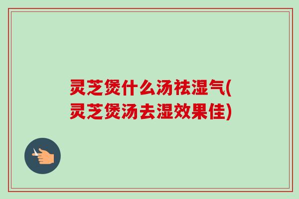 灵芝煲什么汤祛湿气(灵芝煲汤去湿效果佳)