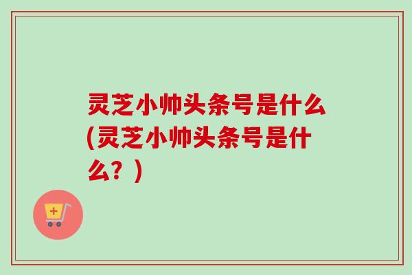 灵芝小帅头条号是什么(灵芝小帅头条号是什么？)