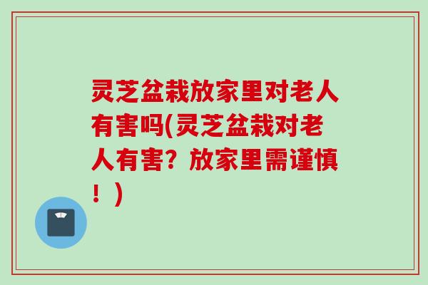 灵芝盆栽放家里对老人有害吗(灵芝盆栽对老人有害？放家里需谨慎！)