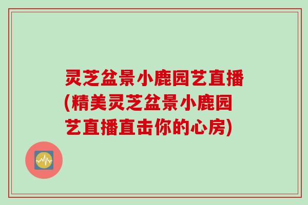 灵芝盆景小鹿园艺直播(精美灵芝盆景小鹿园艺直播直击你的心房) 灵芝盆景小鹿园艺直播(精美灵芝盆景小鹿园艺直播直击你的心房)