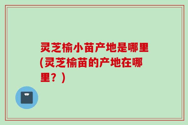 灵芝榆小苗产地是哪里(灵芝榆苗的产地在哪里?) 灵芝榆小苗产地是哪里(灵芝榆苗的产地在哪里?)