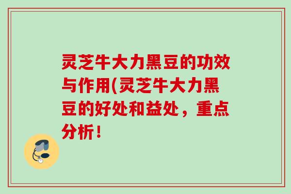 灵芝牛大力黑豆的功效与作用(灵芝牛大力黑豆的好处和益处，重点分析！