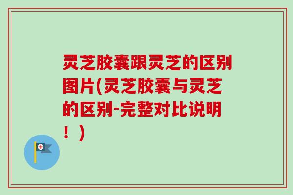 灵芝胶囊跟灵芝的区别图片(灵芝胶囊与灵芝的区别-完整对比说明!) 灵芝胶囊跟灵芝的区别图片(灵芝胶囊与灵芝的区别-完整对比说明!)