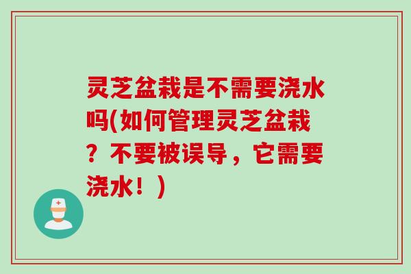 灵芝盆栽是不需要浇水吗(如何管理灵芝盆栽？不要被误导，它需要浇水！)