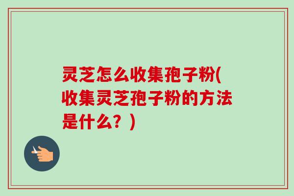 灵芝怎么收集孢子粉(收集灵芝孢子粉的方法是什么？)