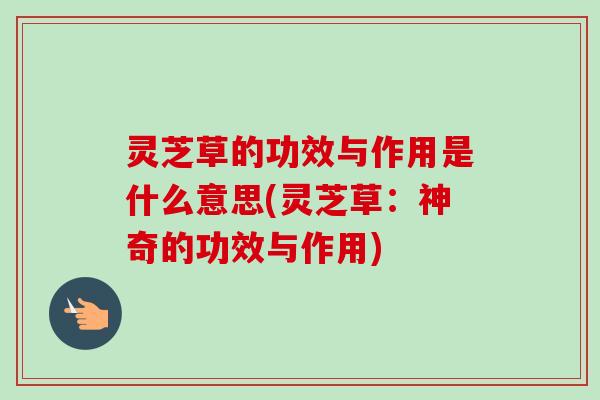 灵芝草的功效与作用是什么意思(灵芝草：神奇的功效与作用)
