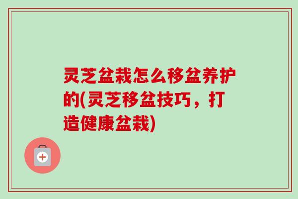 灵芝盆栽怎么移盆养护的(灵芝移盆技巧，打造健康盆栽)