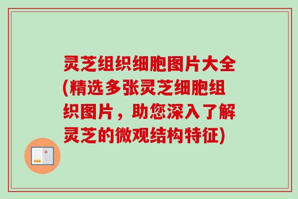 灵芝组织细胞图片大全(精选多张灵芝细胞组织图片，助您深入了解灵芝的微观结构特征)