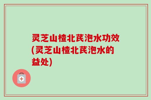 灵芝山楂北芪泡水功效(灵芝山楂北芪泡水的益处)