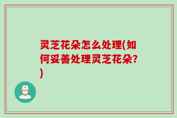 灵芝花朵怎么处理(如何妥善处理灵芝花朵？)