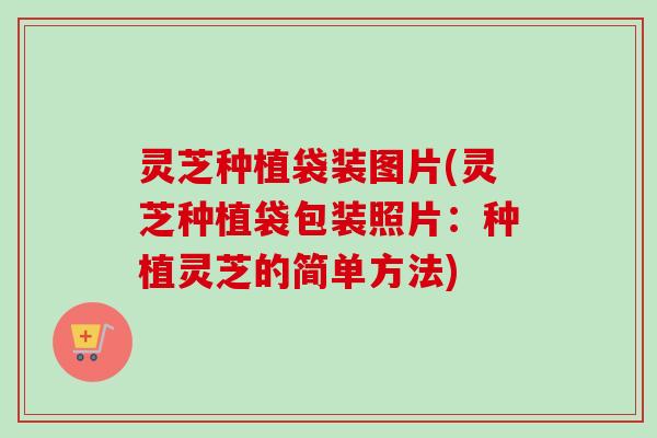 灵芝种植袋装图片(灵芝种植袋包装照片:种植灵芝的简单方法) 灵芝种植袋装图片(灵芝种植袋包装照片:种植灵芝的简单方法)