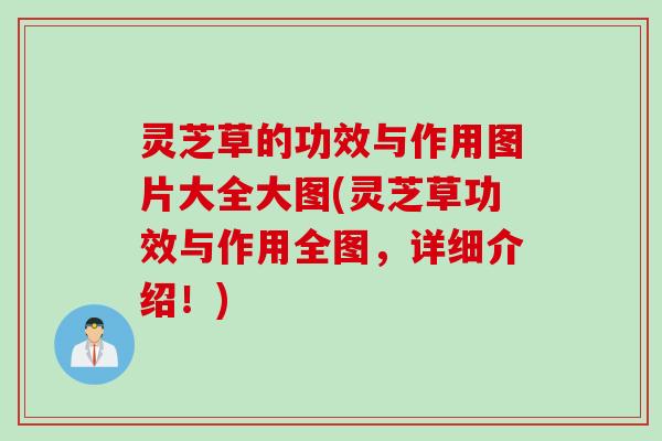灵芝草的功效与作用图片大全大图(灵芝草功效与作用全图，详细介绍！)