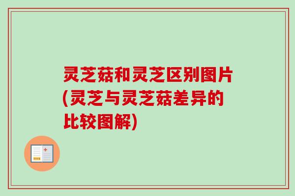 灵芝菇和灵芝区别图片(灵芝与灵芝菇差异的比较图解)
