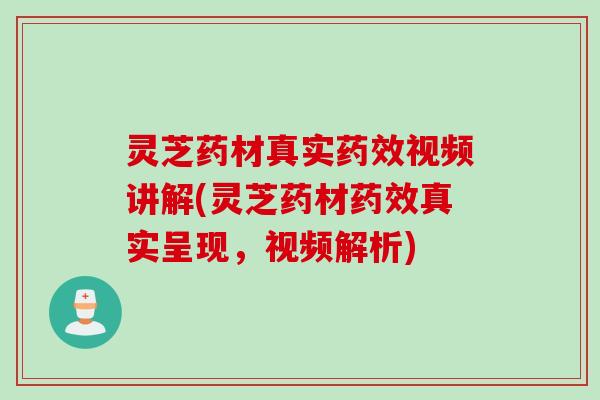 灵芝药材真实视频讲解(灵芝药材真实呈现，视频解析)