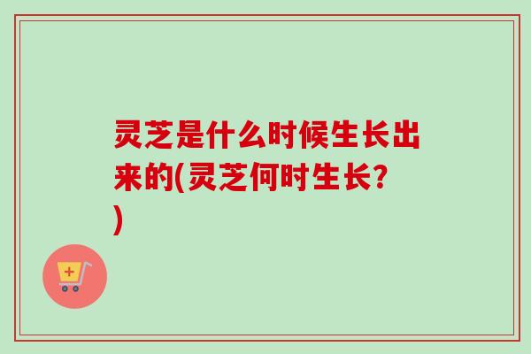 灵芝是什么时候生长出来的(灵芝何时生长？)