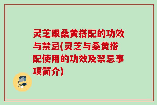 灵芝跟桑黄搭配的功效与禁忌(灵芝与桑黄搭配使用的功效及禁忌事项简介)