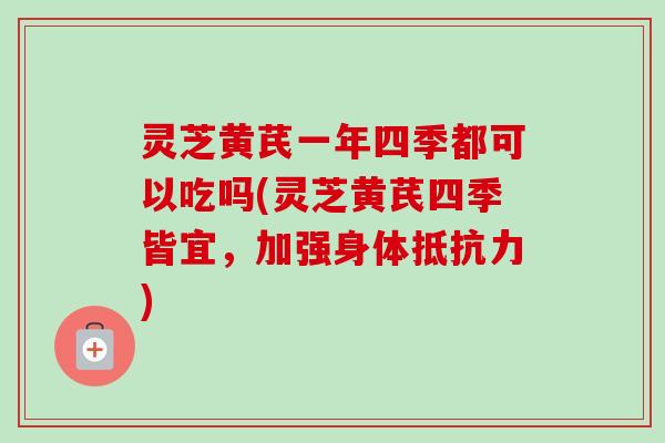 灵芝黄芪一年四季都可以吃吗(灵芝黄芪四季皆宜，加强身体抵抗力)