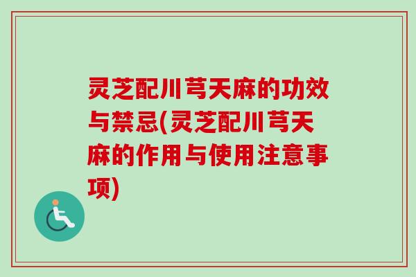 灵芝配川芎天麻的功效与禁忌(灵芝配川芎天麻的作用与使用注意事项)